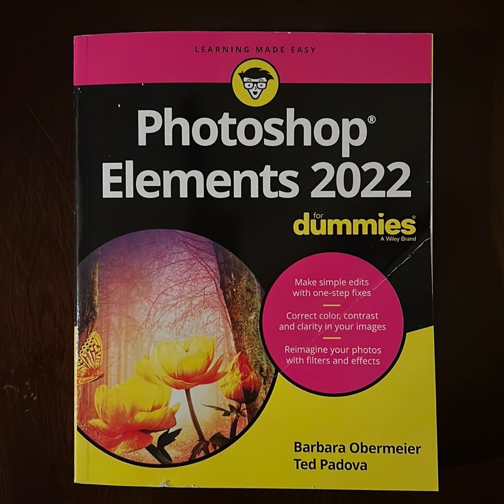 2022 Photoshop for Dummies